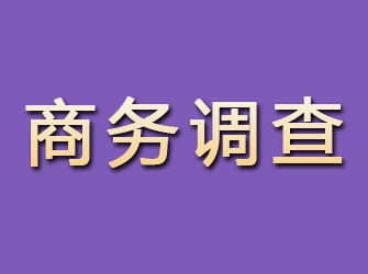 江北商务调查